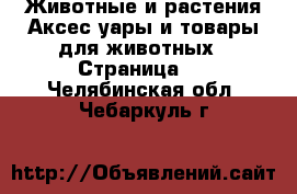Животные и растения Аксесcуары и товары для животных - Страница 3 . Челябинская обл.,Чебаркуль г.
